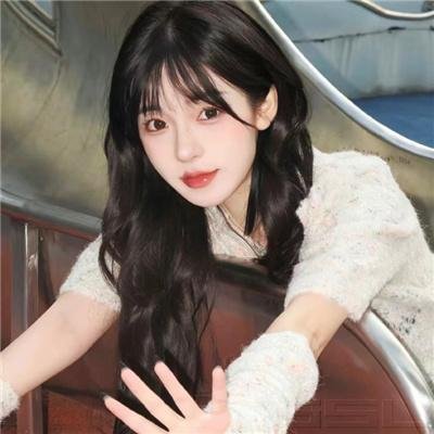 Y行动和舒立克的其它冒险